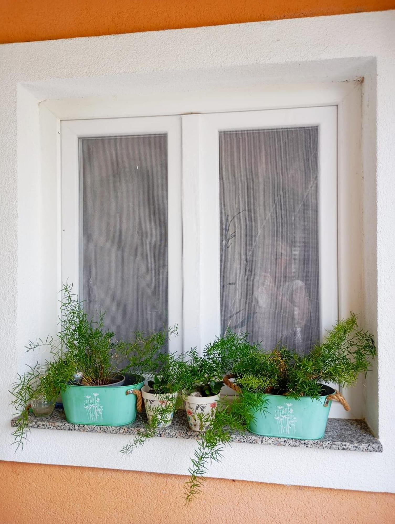 Apartmani Joja Biograd Na Moru Bagian luar foto