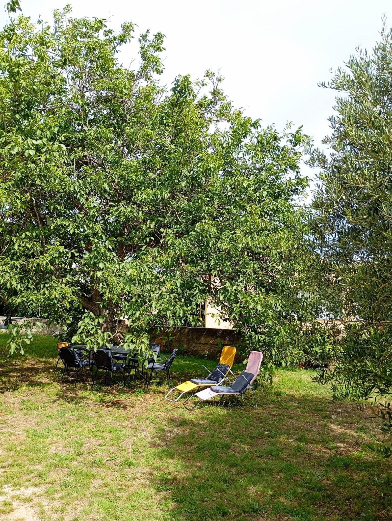 Apartmani Joja Biograd Na Moru Bagian luar foto